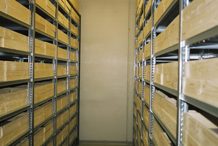 geologisamling