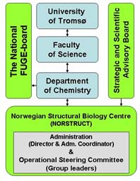 OrgMap