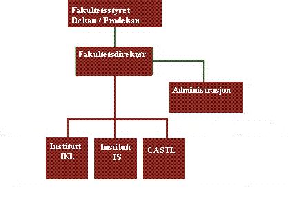 Organisasjon HUM-fak.JPG