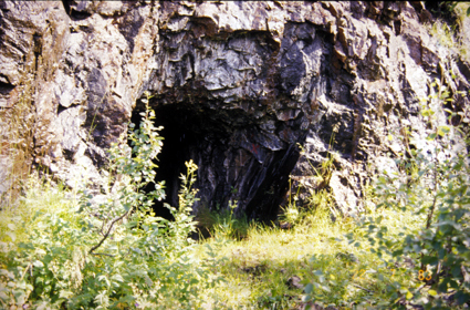 perbnytt
