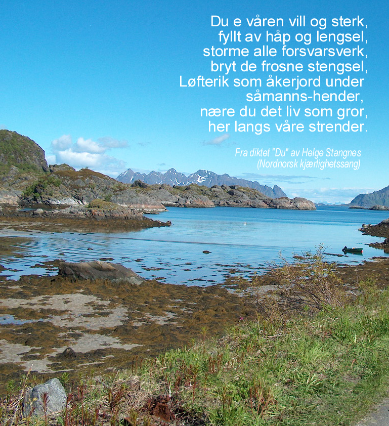 V�rdikt