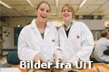 UitKnapp