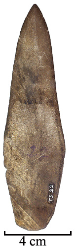 Ts00022