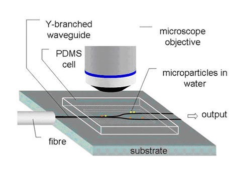 MicroMoveFig1