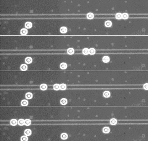 MicroMoveFig2