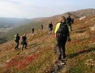 En fjelltur gjør godt både for en selv og for samholdet i bedriften - Copyright: Kristin Karlsen