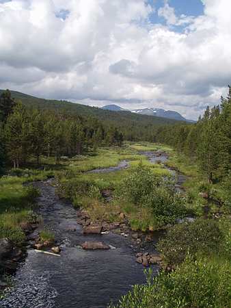 Sjodalen i Vågå - Copyright: Janne Sollie