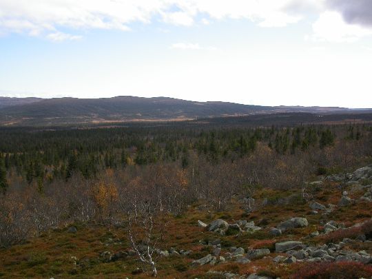 Hemmeldalen - Svartåsfjellet nr - Copyright: Erik Ydse Hemmeldalen - Svartåsfjellet nr - Copyright: Erik Ydse