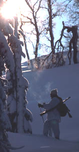 Vinterjakt - Copyright: Bjørn Rangbru