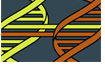 GMO