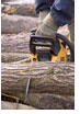 Skog: Motorsak. Foto: Bård Ness, Samfoto