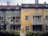 Hus Foto: Jiri
Havran