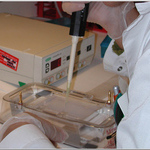 Lab.work