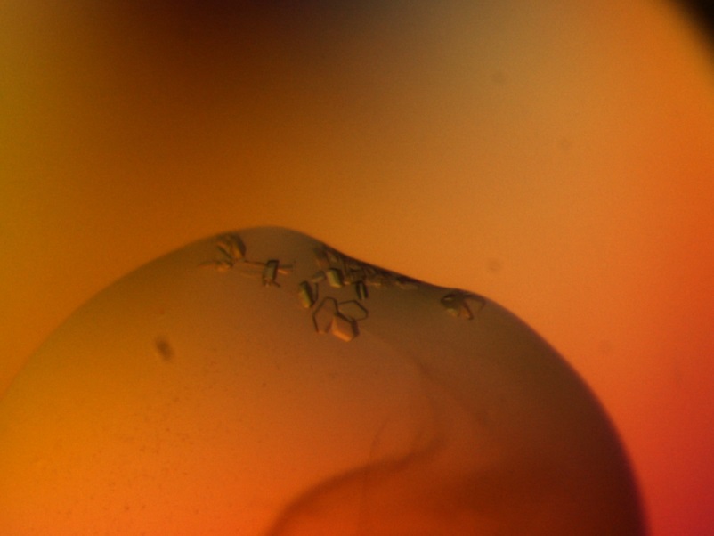 Crystal Atle II.jpg