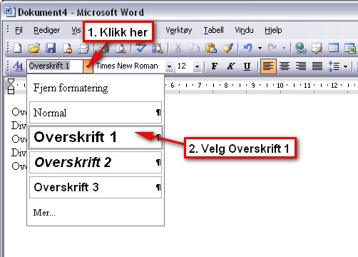 overskrifter/overskrift3 - Copyright: brukersenter@hist.no