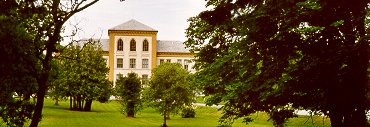 rotvoll