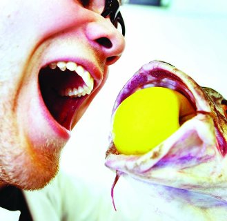 Godfisk (329 x 320)