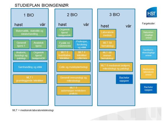 Studieplan bioingeniør2