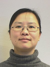 Profilbilde for Ding, Liping