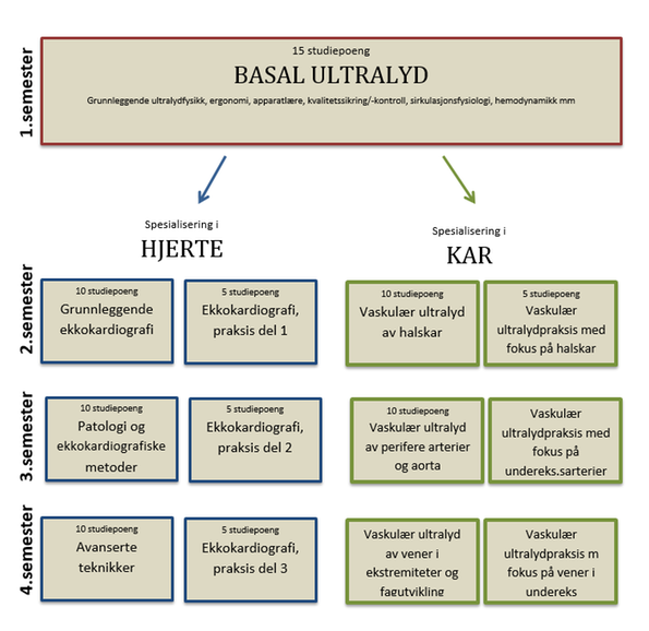 Studiestruktur ViUL