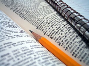 Leser i bok