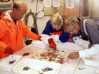 Samarbeid i sorteringsarbeid