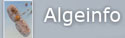 algeinfo