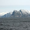 Møt russiske og norske havforskere i Lofoten