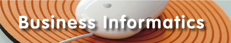 Business Informatics