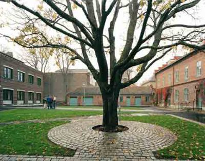 arkchristiesgate