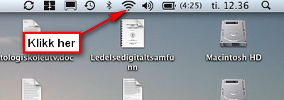 Last ned veiviseren som PDF