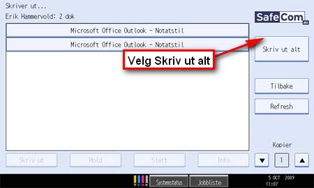 skriv_ut_alt