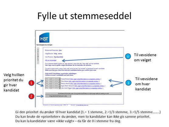 bilde 4