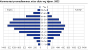 Kommunestyremedlemmer, etter alder og kj�nn. 2003